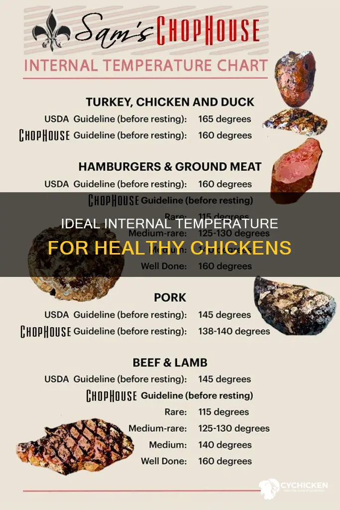 what is the internal temperature of a live chicken