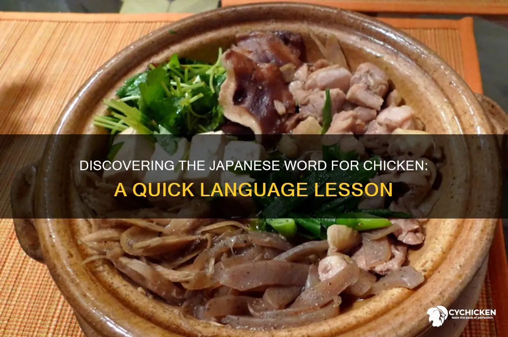 what is the japanese word for chicken