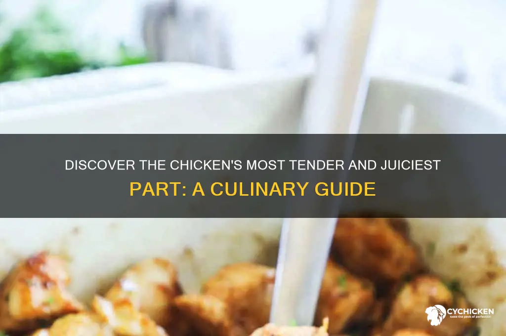 what is the juiciest part of a chicken