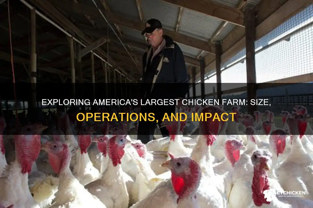 what is the largest chicken farm in america