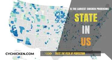 Chicken Capital: Which US State Rules the Roost?