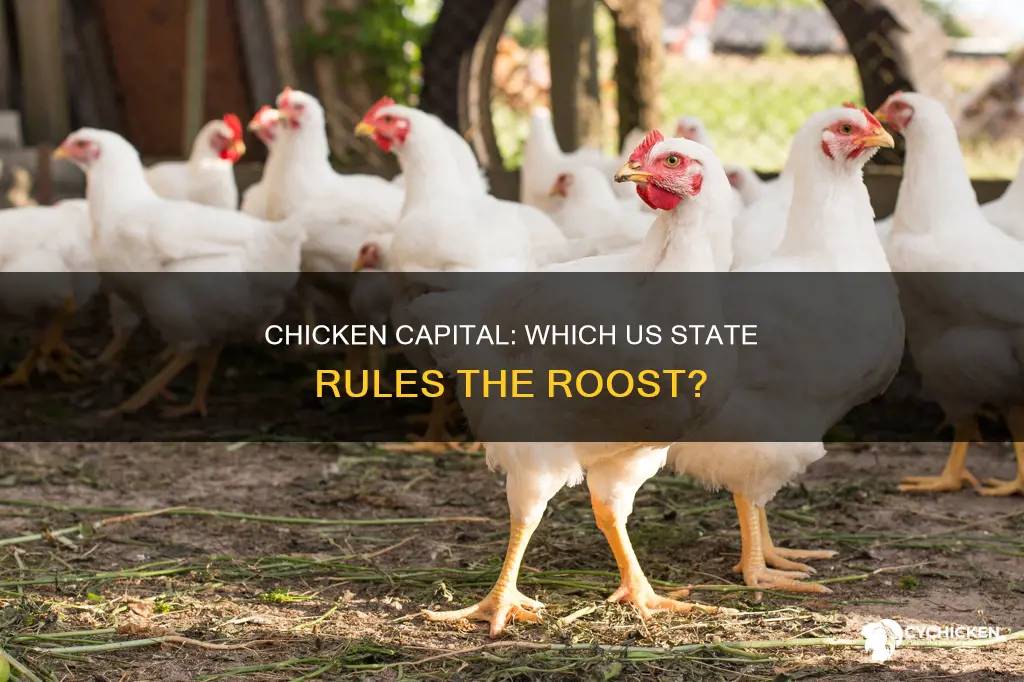 what is the largest chicken producing state in us