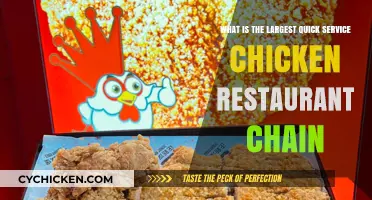 Chicken Chain Champs: Who's Leading the Cluck?