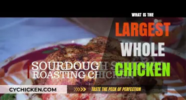 Exploring the Limits: What's the Largest Whole Chicken You Can Find?