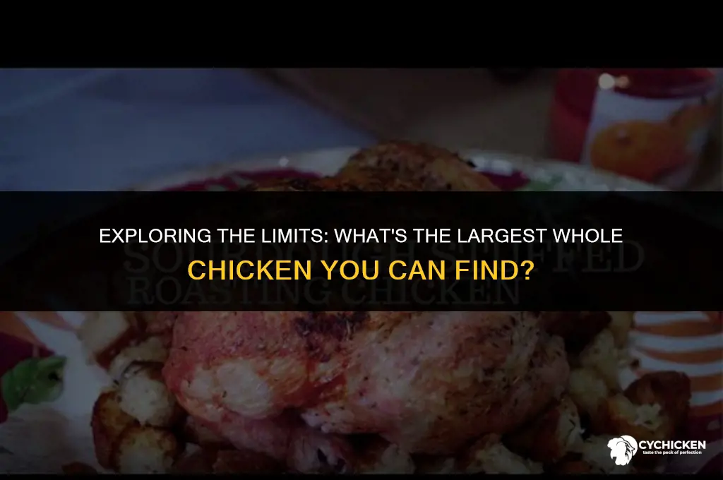 what is the largest whole chicken