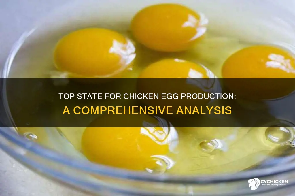 what is the leading state in chicken layers