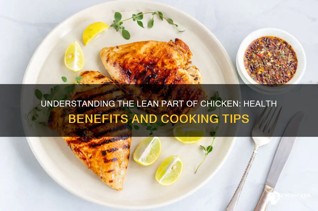 what is the lean part of the chicken