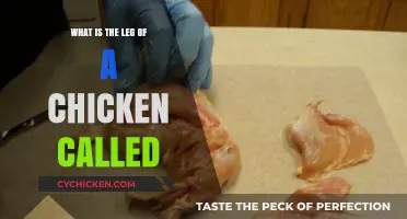Understanding Chicken Anatomy: What is the Leg of a Chicken Called?