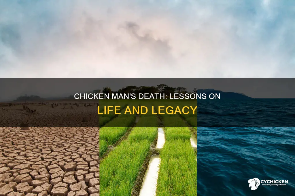 what is the lesson behind chicken man
