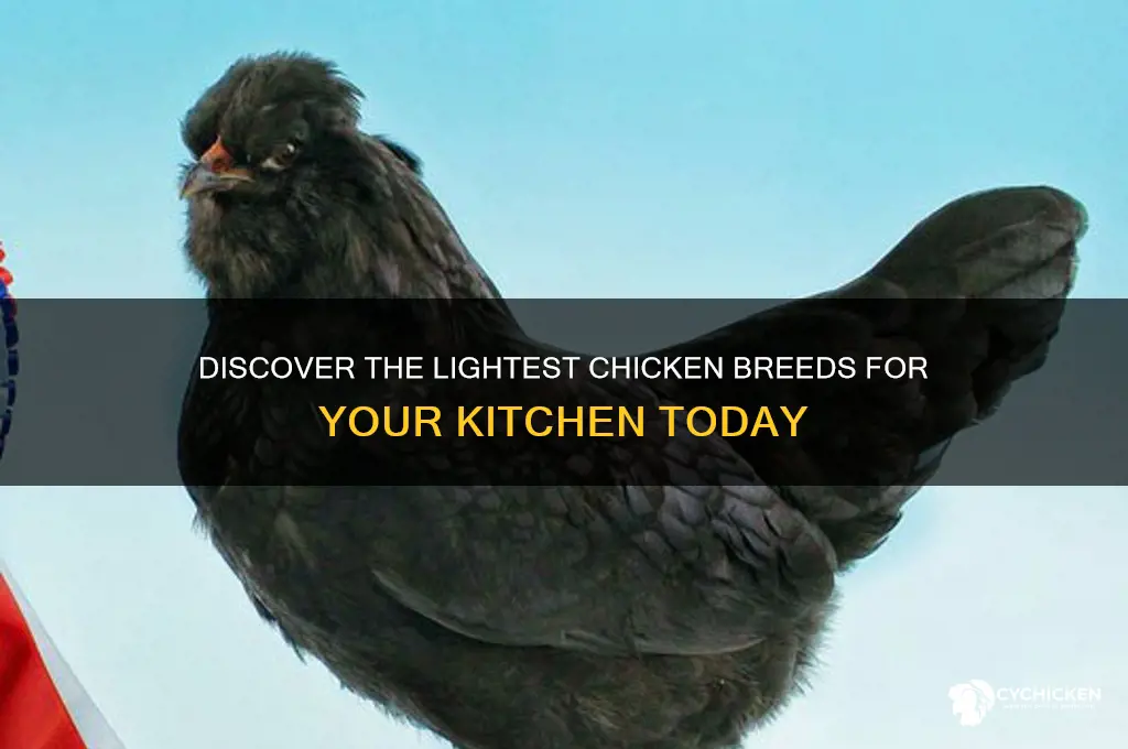 what is the lightest chicken you can buy