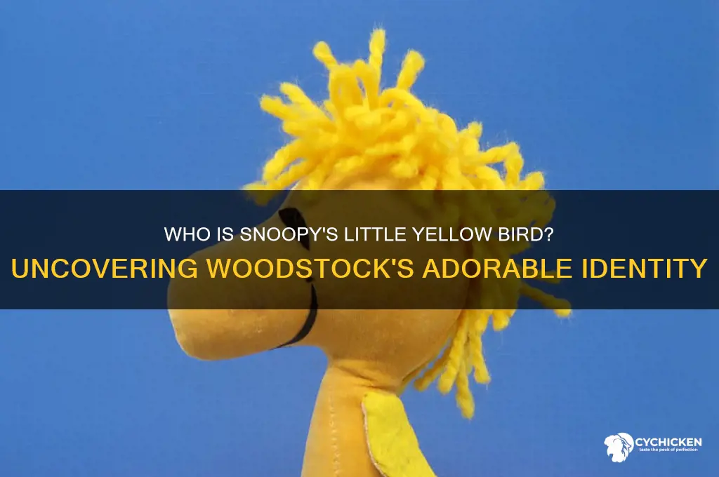 what is the litle chicks name in snoopy