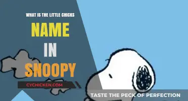 Who is Snoopy's Adorable Little Chick Friend Named?