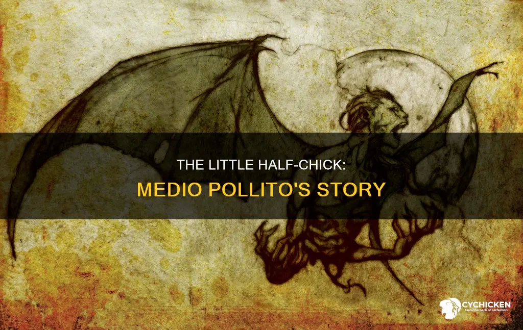 what is the little half chick medio pollito about