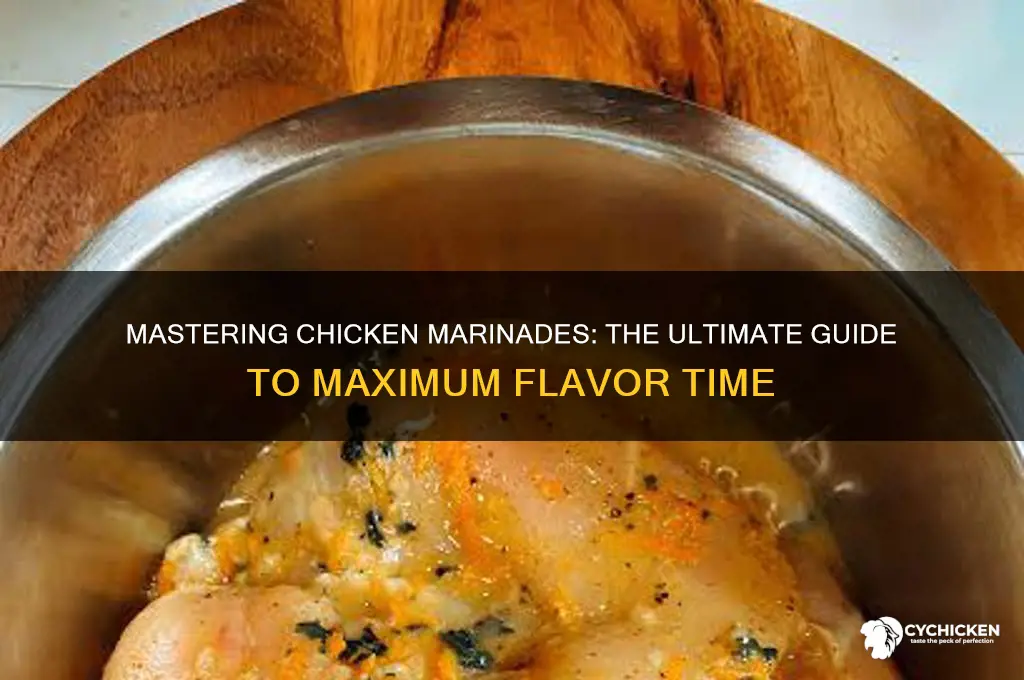 what is the longest time to marinate chicken
