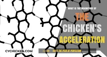 How Fast Can Chickens Accelerate?