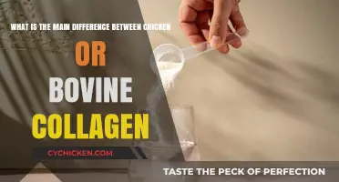 Chicken vs Bovine Collagen: What's the Main Difference?