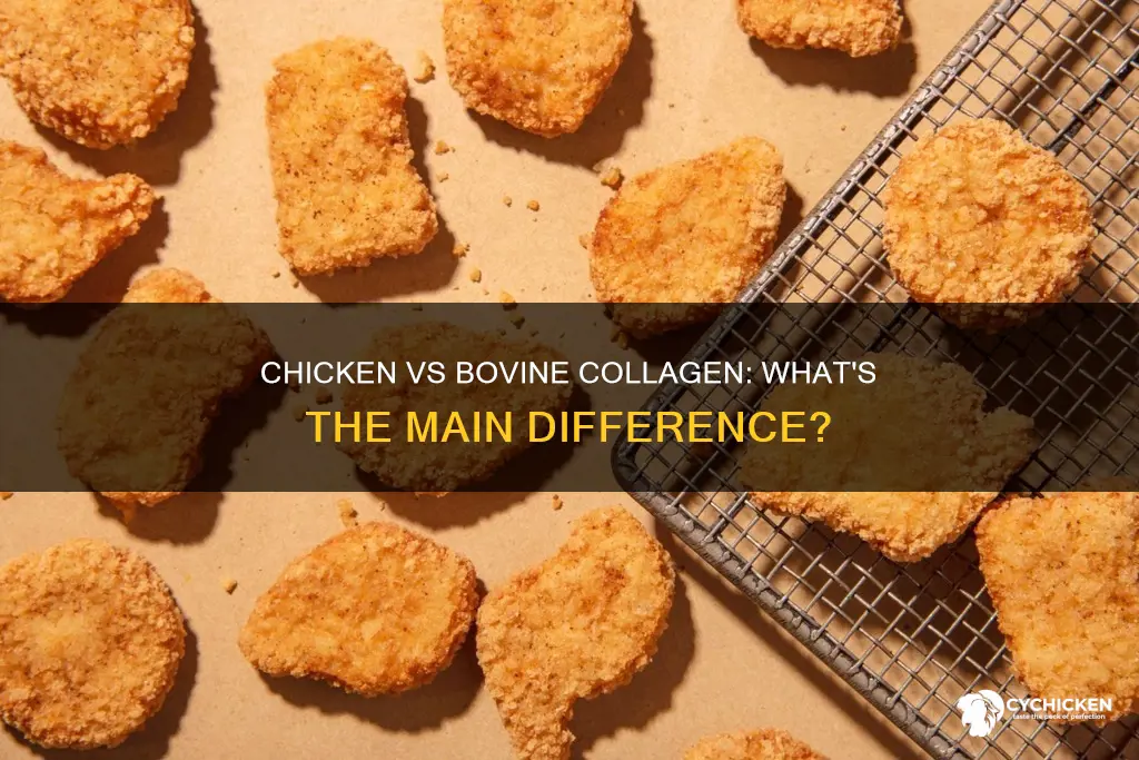 what is the main difference between chicken or bovine collagen