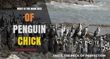 Understanding the Core Concept of Penguin Chick Development and Survival
