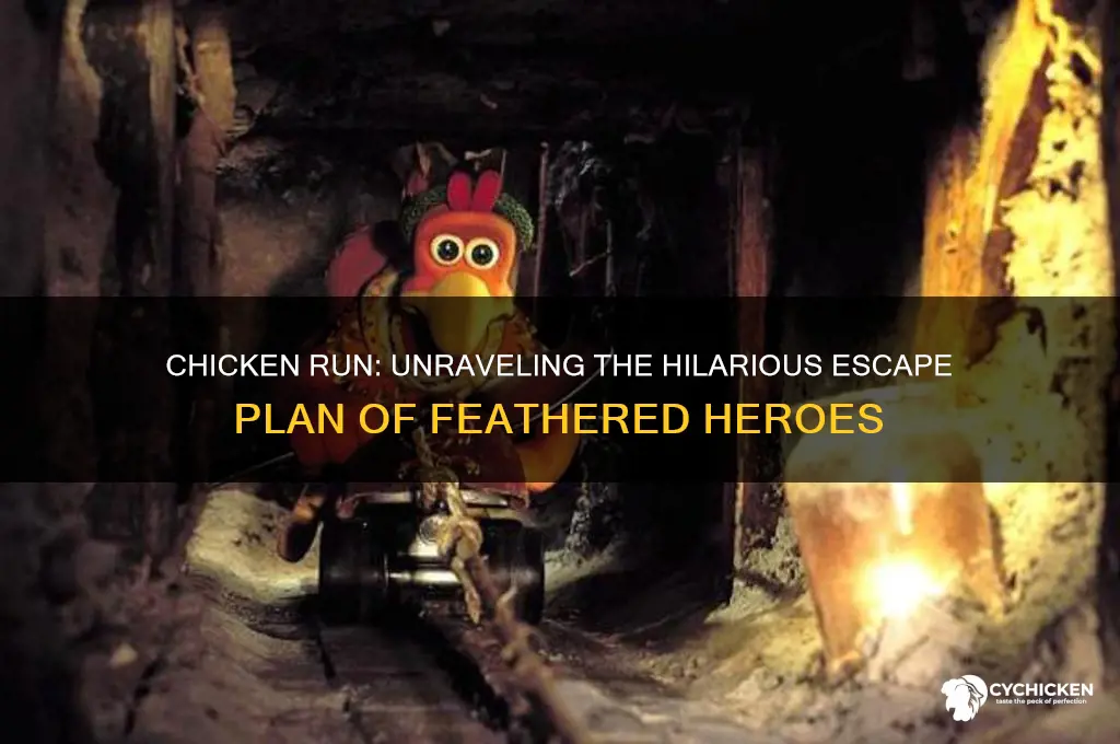 what is the main plot for chicken run