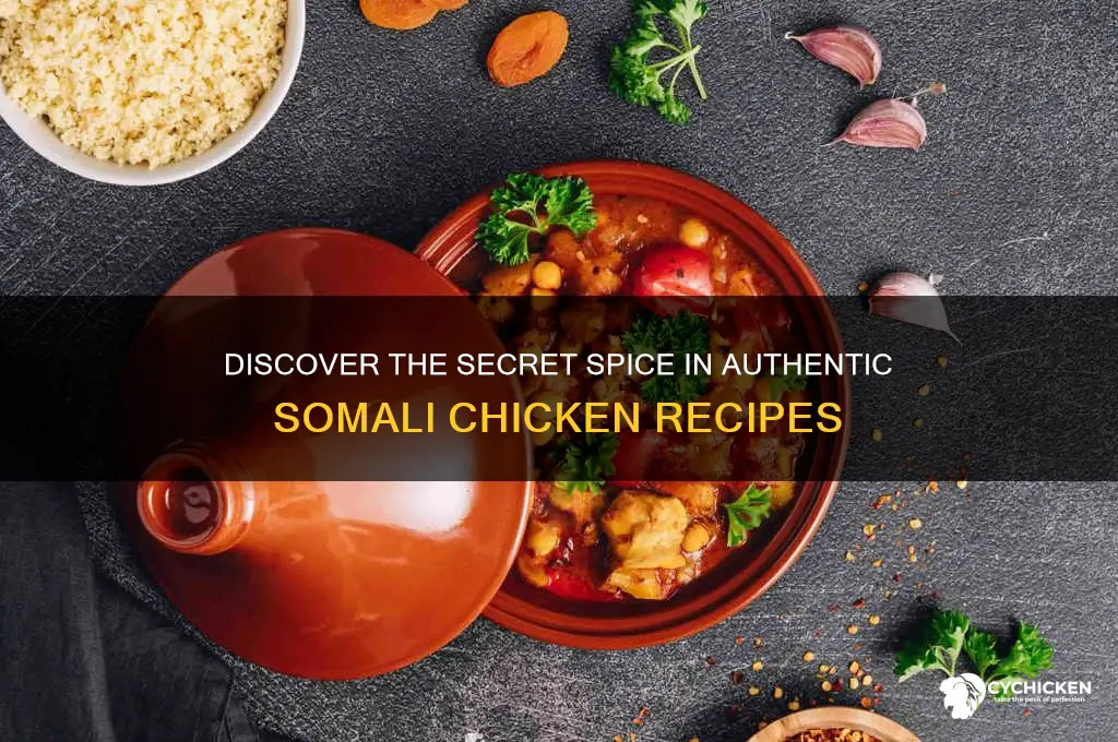 what is the main spice in somali chicken
