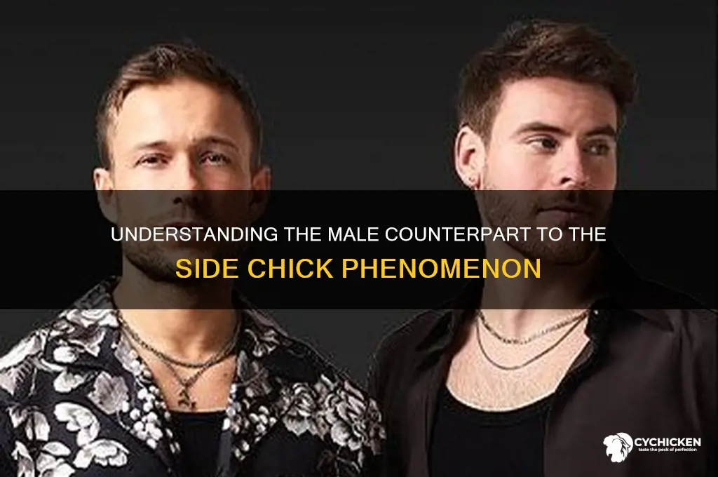 what is the male version of side chick