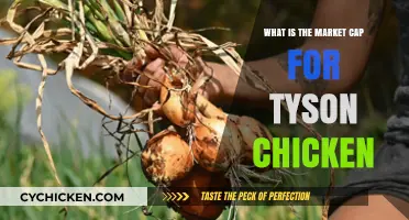 Understanding Tyson Chicken's Market Cap: A Comprehensive Financial Overview