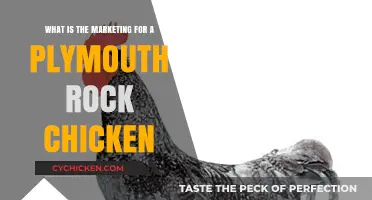 Plymouth Rock Chicken Marketing: Targeting the Right Niche