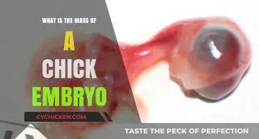 Unveiling the Tiny Weight: Mass of a Chick Embryo Explained