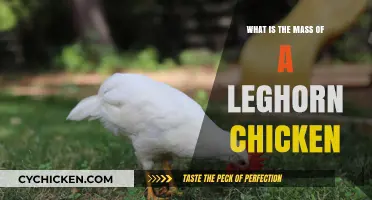 Understanding the Average Mass of a Leghorn Chicken Breed