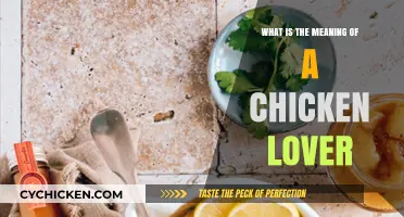 Understanding the Passion: What Does It Mean to Be a Chicken Lover?