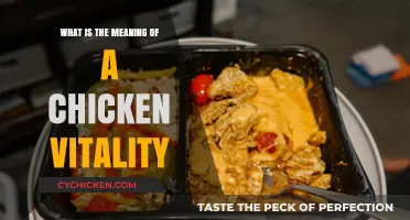 Understanding Chicken Vitality: Key Factors for Healthy, Energetic Poultry
