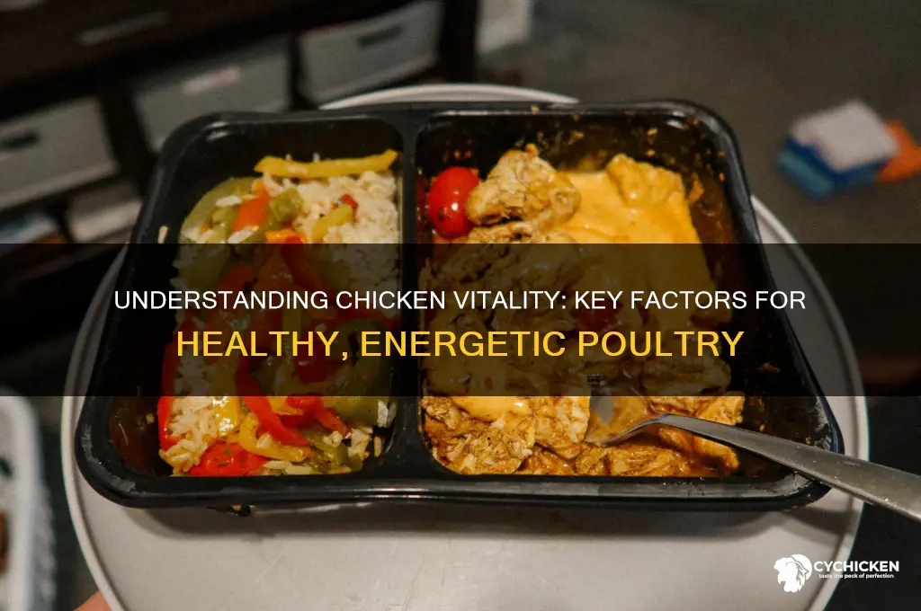 what is the meaning of a chicken vitality
