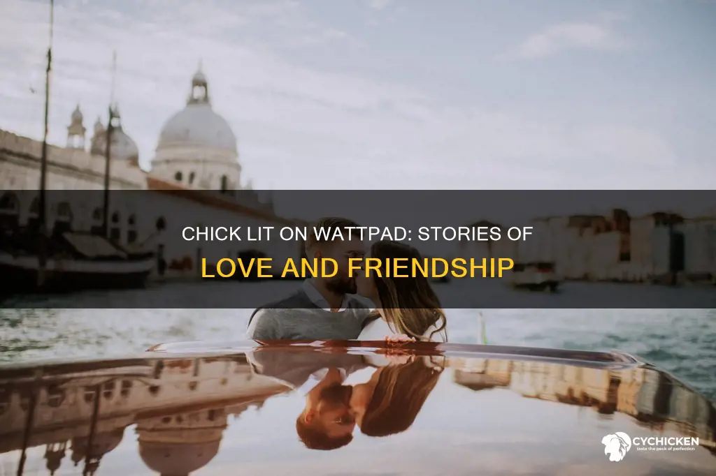 what is the meaning of chick lit in wattpad