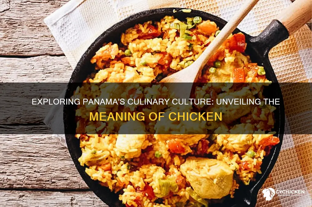 what is the meaning of chicken in panama
