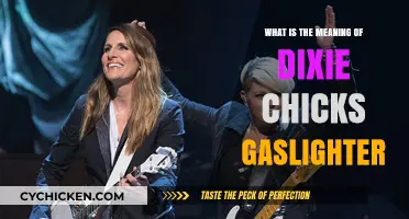 Dixie Chicks' 'Gaslighter': Unraveling the Meaning Behind the Album