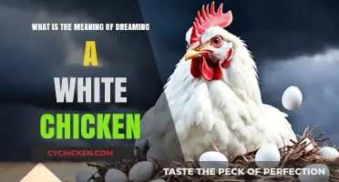 Dreaming of White Chickens: What Does It Mean?