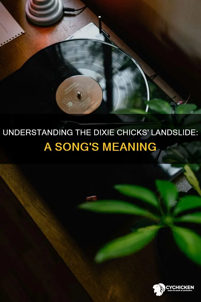 what is the meaning of landslide by dixie chicks