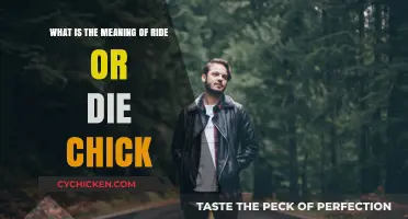 The Ultimate Ride or Die Chick: Meaning and More
