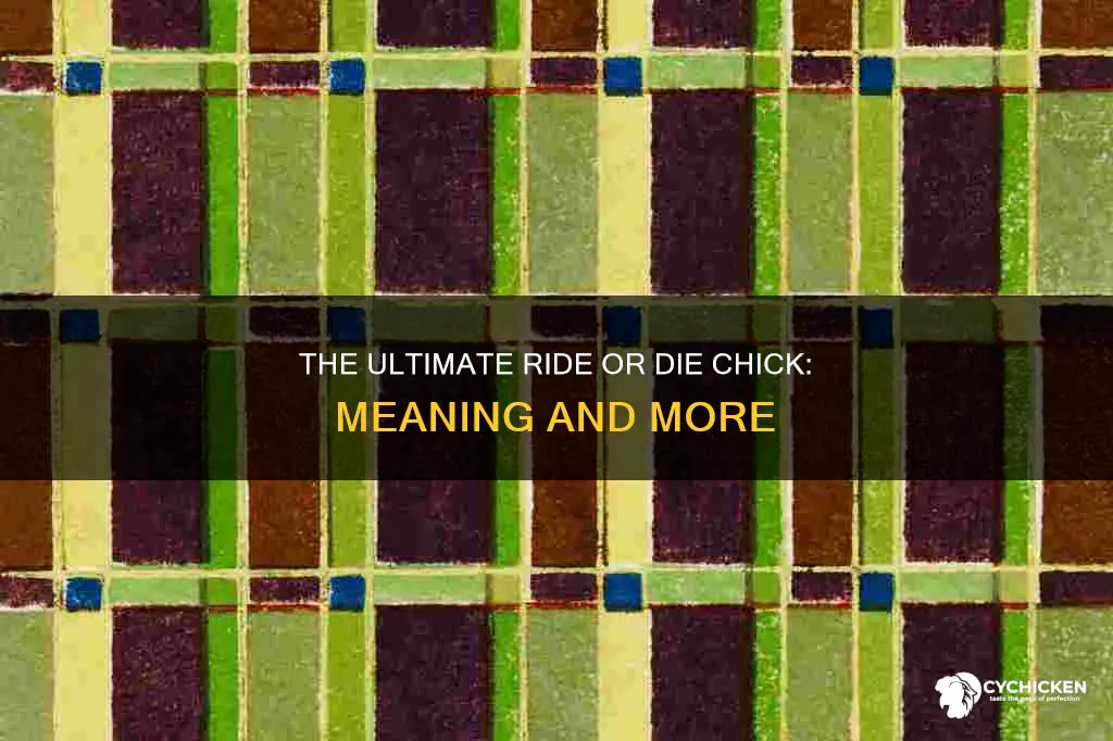 what is the meaning of ride or die chick