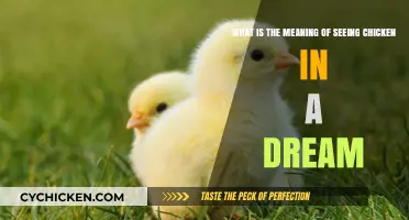 Dreaming of Chickens: What Does it Mean?