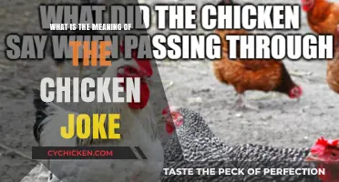 Unraveling the Mystery: What's the Meaning Behind the Chicken Joke?