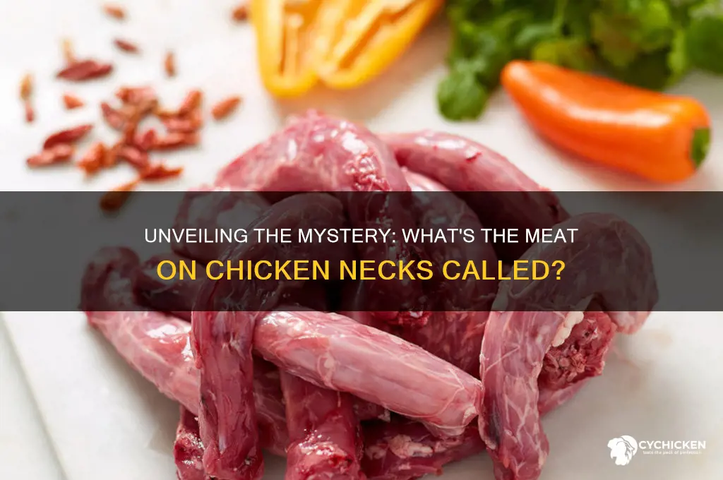 what is the meat on chicken necks called