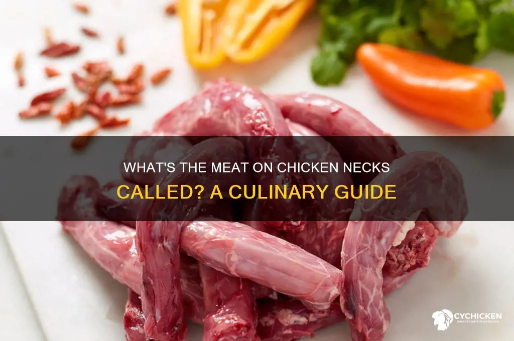 what is the meat on chicken necls called