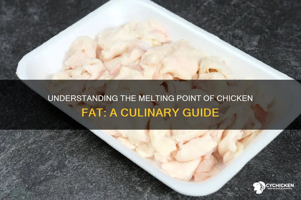 what is the melting point of chicken fat