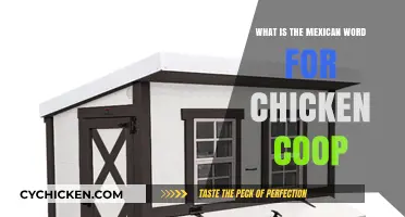 Exploring the Mexican Term for Chicken Coop: A Cultural Insight
