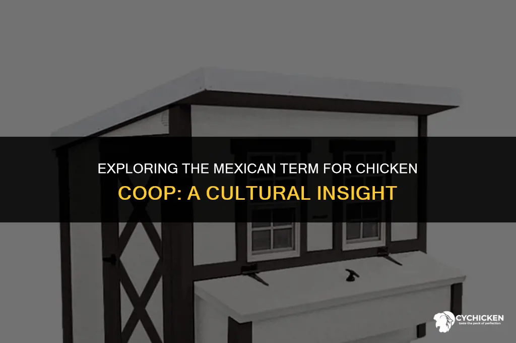 what is the mexican word for chicken coop