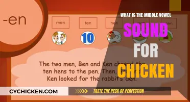 Understanding the Middle Vowel Sound in 'Chicken': A Phonetic Exploration