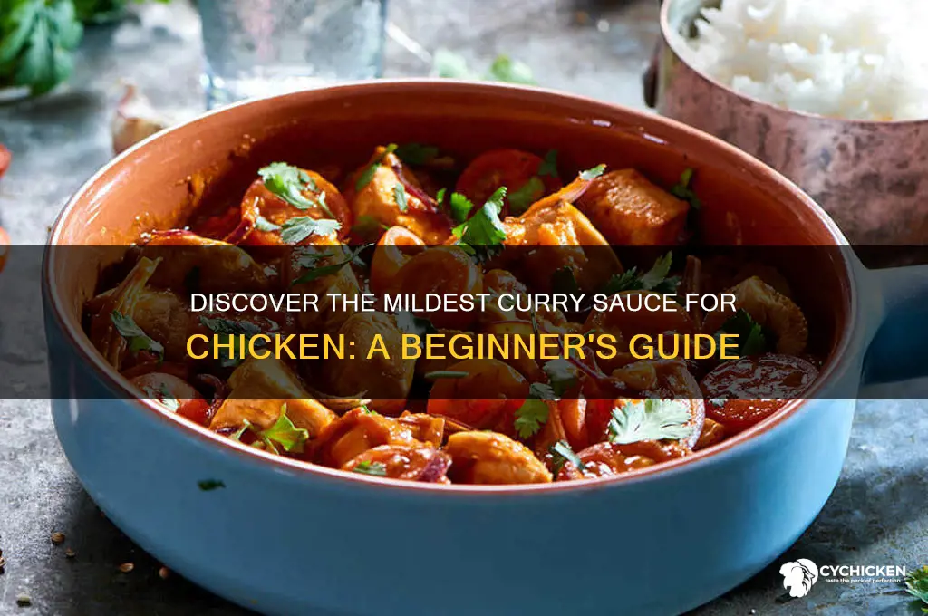 what is the mildest curry sauce for chicken