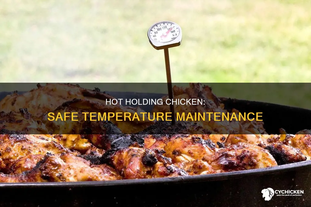 what is the minimum hot holding temperature for chicken