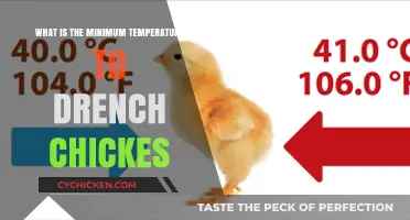 Optimal Chicken Drenching: Understanding Minimum Temperature Requirements